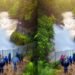 David Falls 1