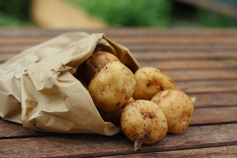 Why put potatoes in the dishwasher? Make Any Sense?